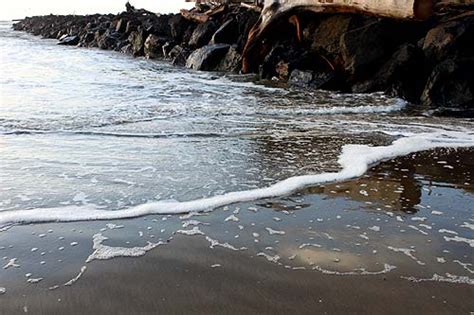 The Allure of Seaweed Baths: A Wellness Trend at Rockaway Beach